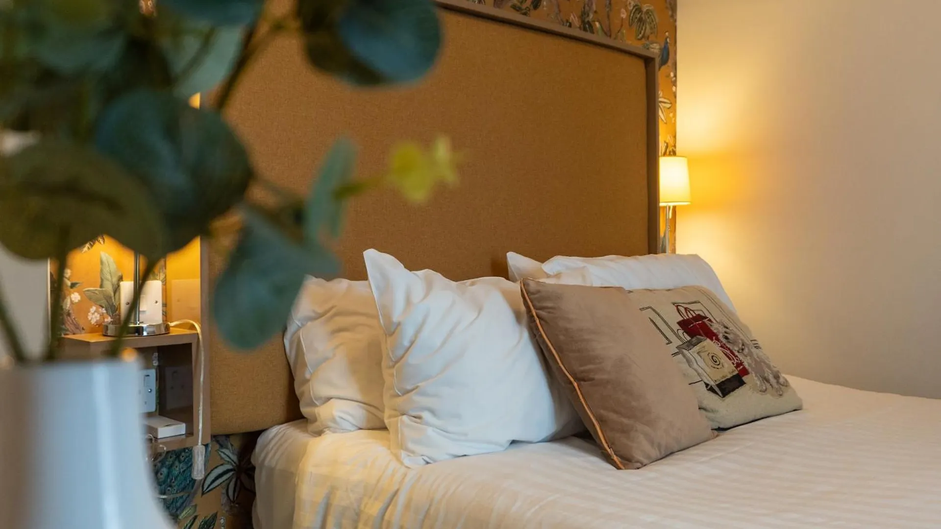 Eccles Townhouse Hotell Dublin 0*,  Irland