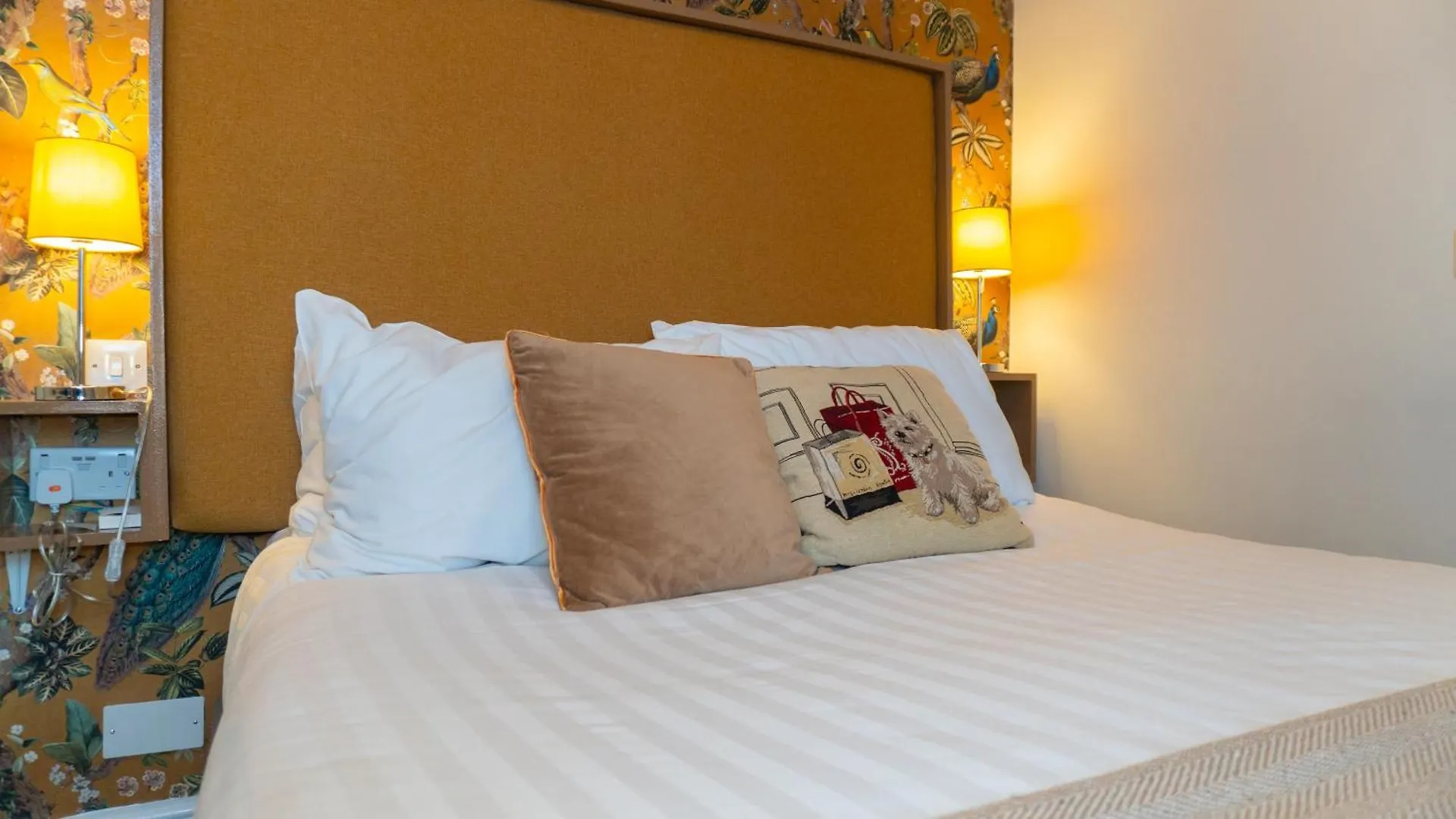 Pensionat Eccles Townhouse Hotell Dublin